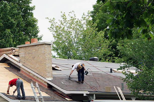 Best Roof Gutter Cleaning  in Ama, LA