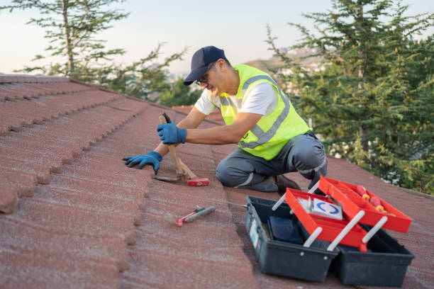 Roof Gutter Cleaning in Ama, LA