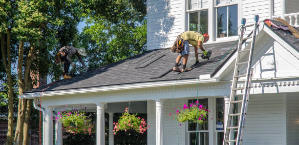 Professional Roofing Contractor in Ama, LA